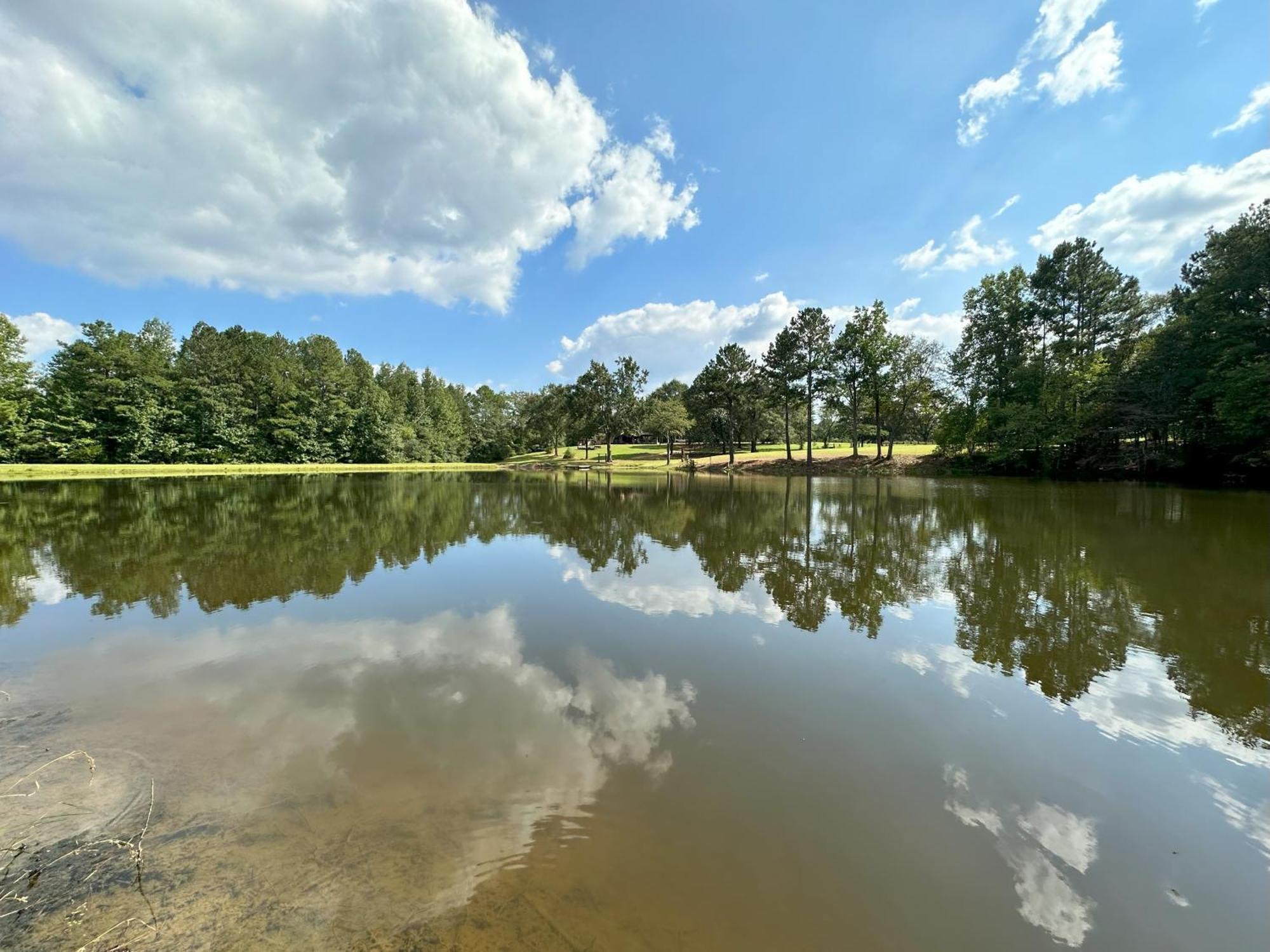 Refuge Ranch Retreat Log Cabin Lake 53+ Acres โลคัสท์โกรฟ ภายนอก รูปภาพ